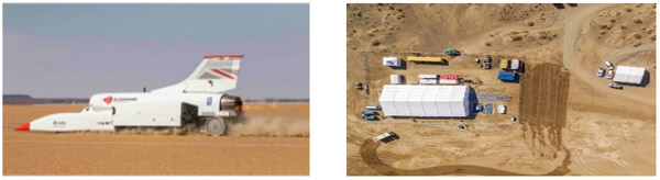 Bloodhound in the desert